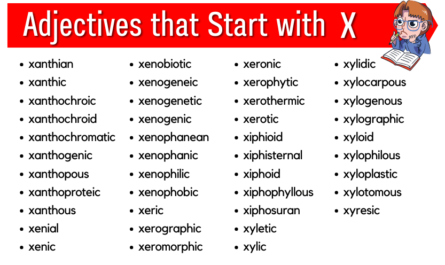 Adjectives that start with x