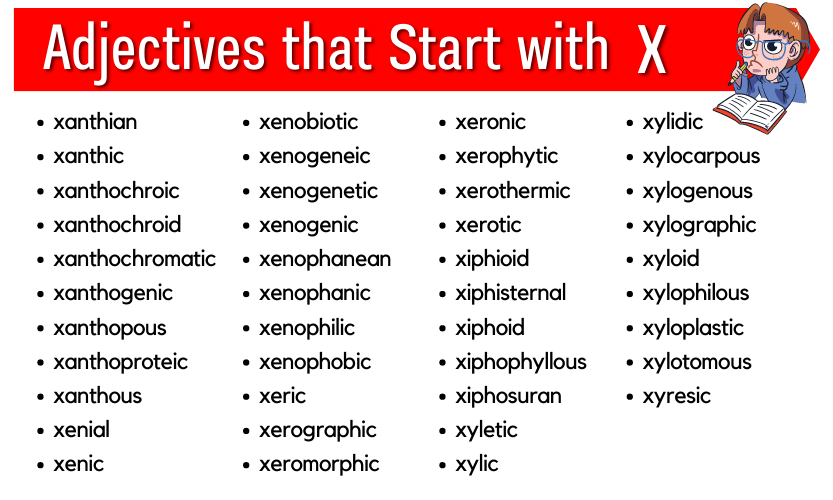 Adjectives that start with x