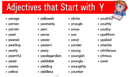 Adjectives that start with y