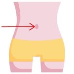 Umbilicus
