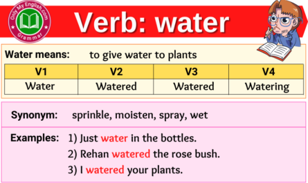 water verb forms v1 v2 v3 past tense and past participle-min
