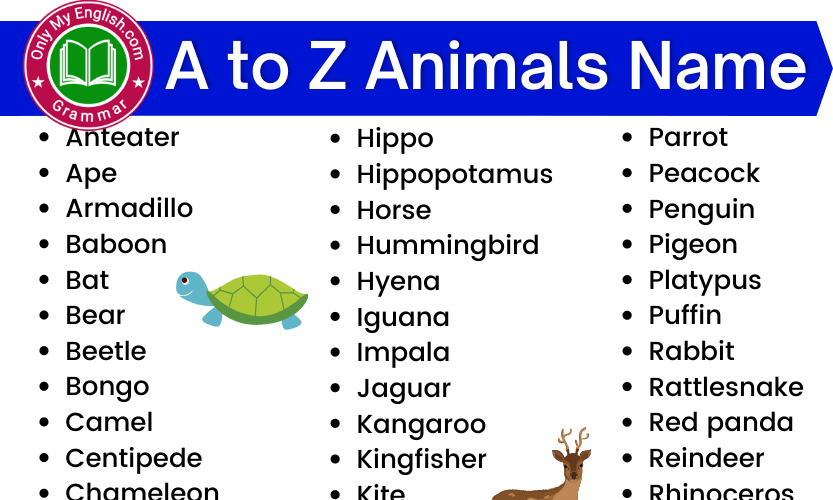 A to Z Animals Name List with Picture » OnlyMyEnglish