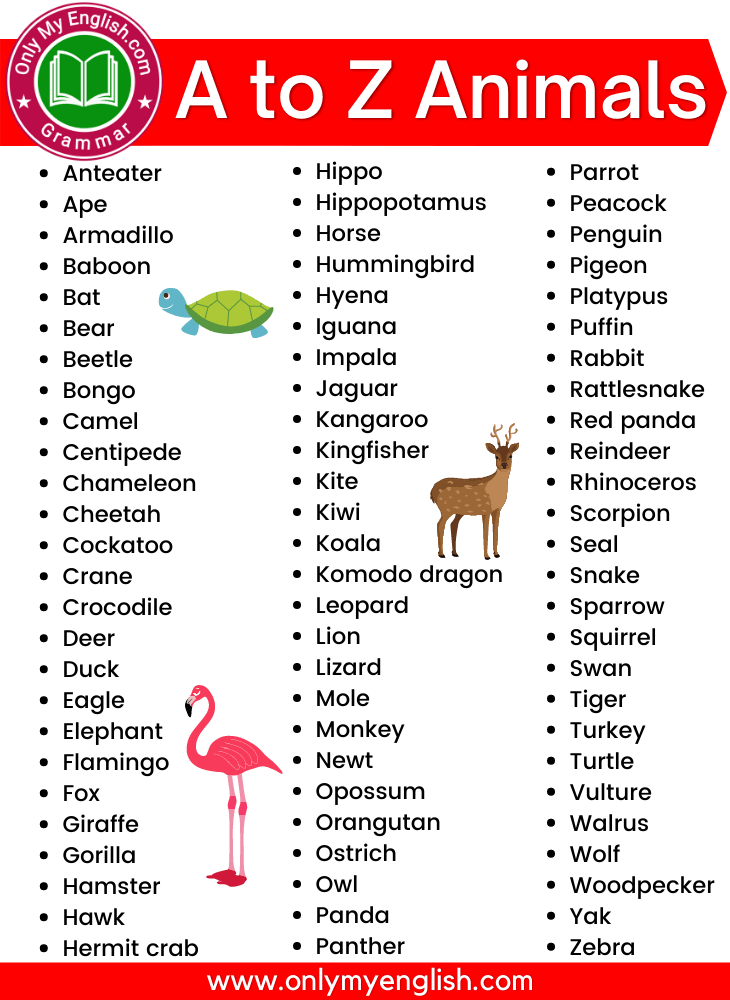 a to z animals name list