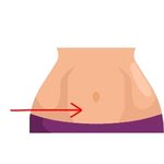 abdomen
