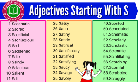 adjectives starting with S