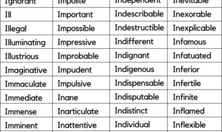 adjectives that start with i