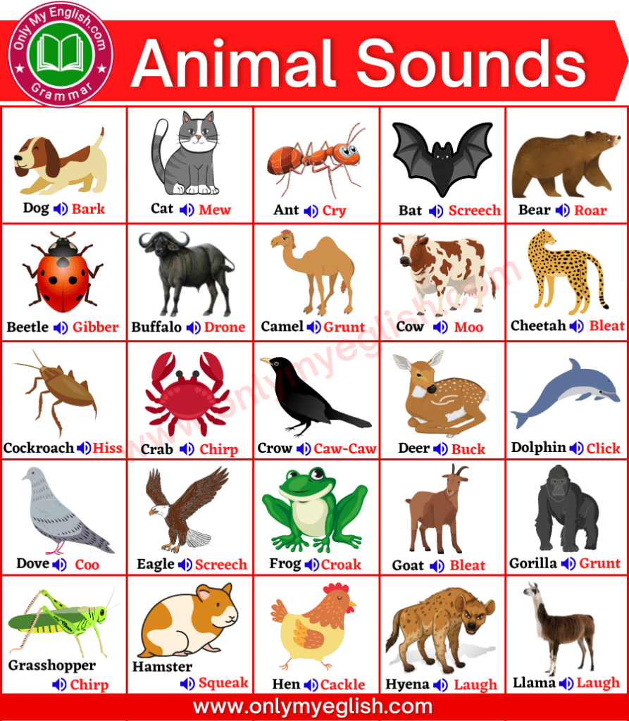 animal sounds