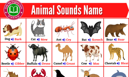 animal sounds name
