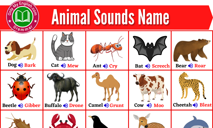 Animal Sounds Name List in English » OnlyMyEnglish