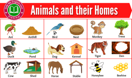 animals and their homes in english