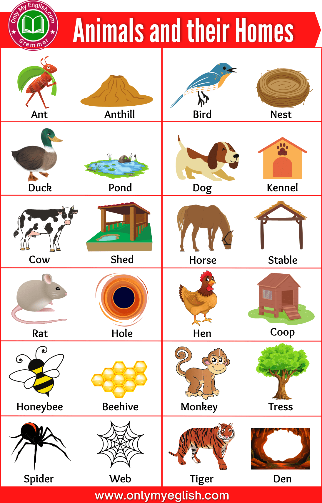 animals and their homes