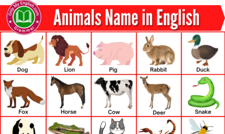 animals name in english
