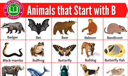animals name that start with b