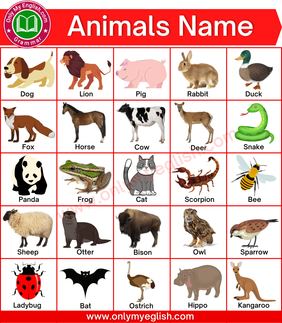 100+ List Of All Animals Name In English With Pictures » OnlyMyEnglish