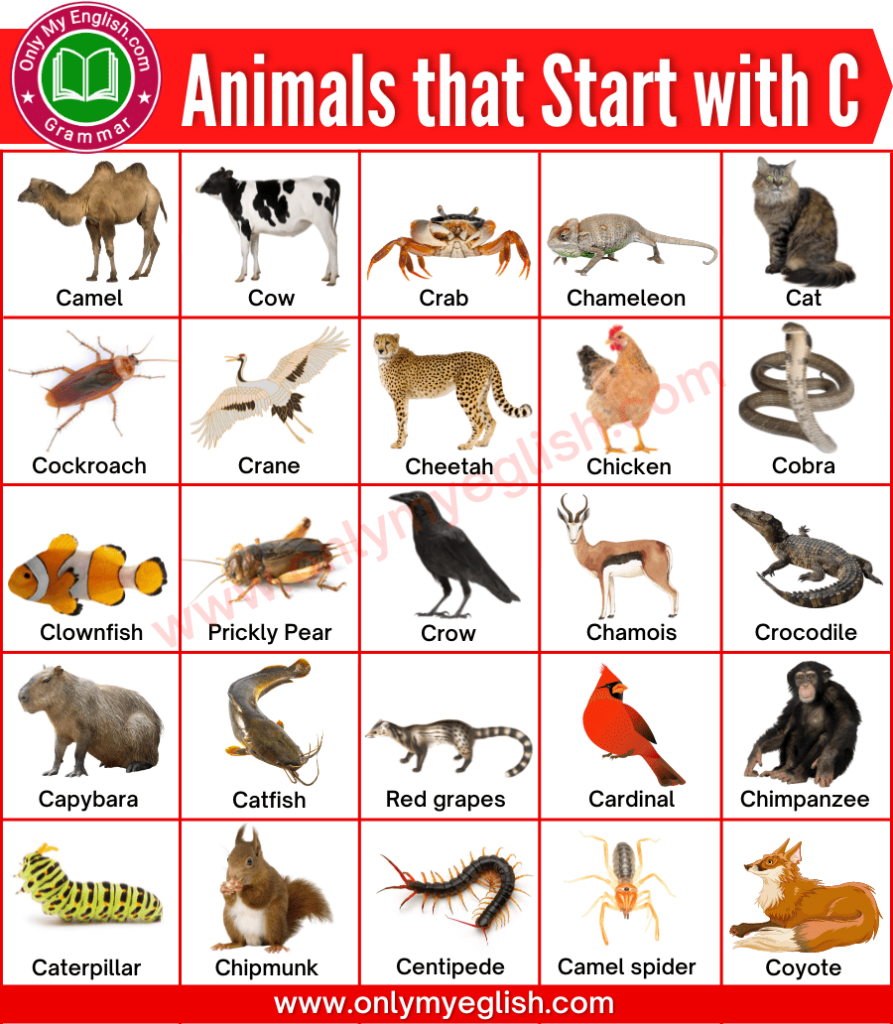 animals that start with c
