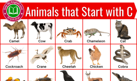 animals that start with c animals that beginning that start with c