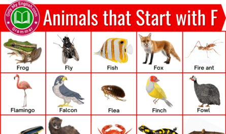 animals that start with f