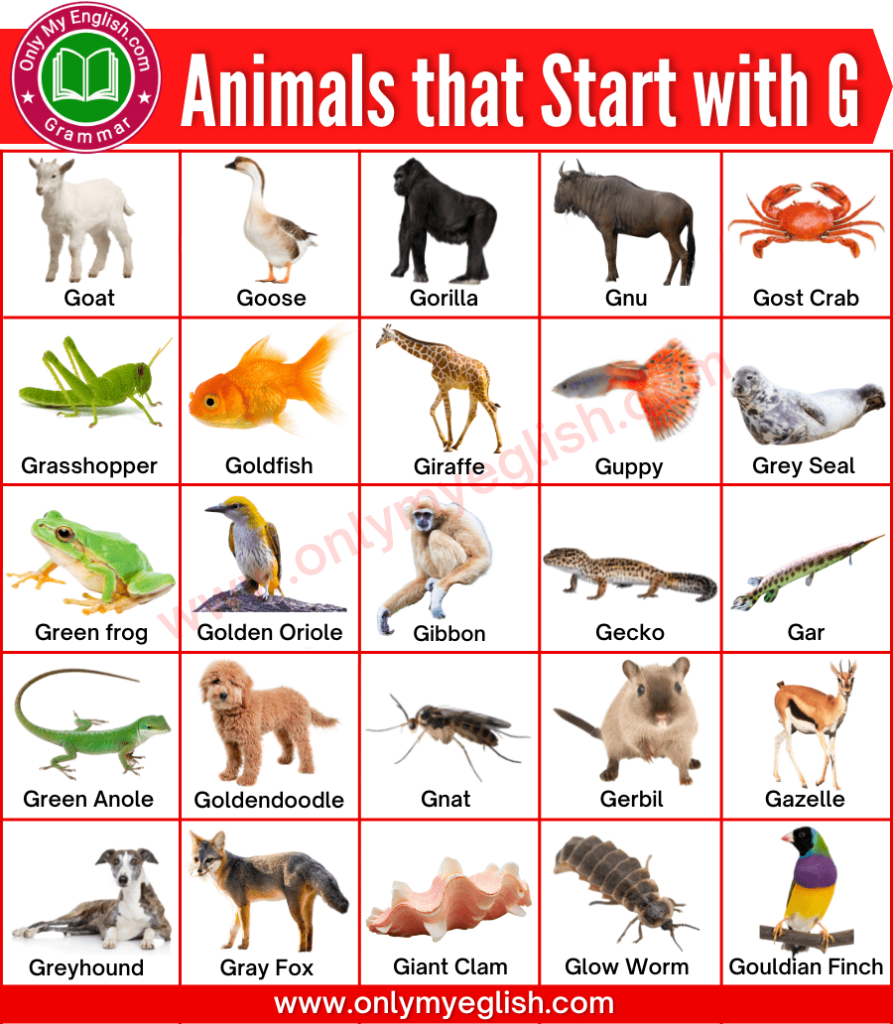 animals that start with g