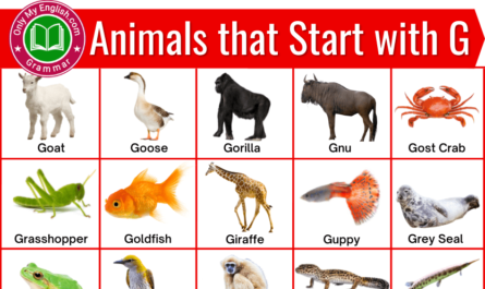 animals that start with g _