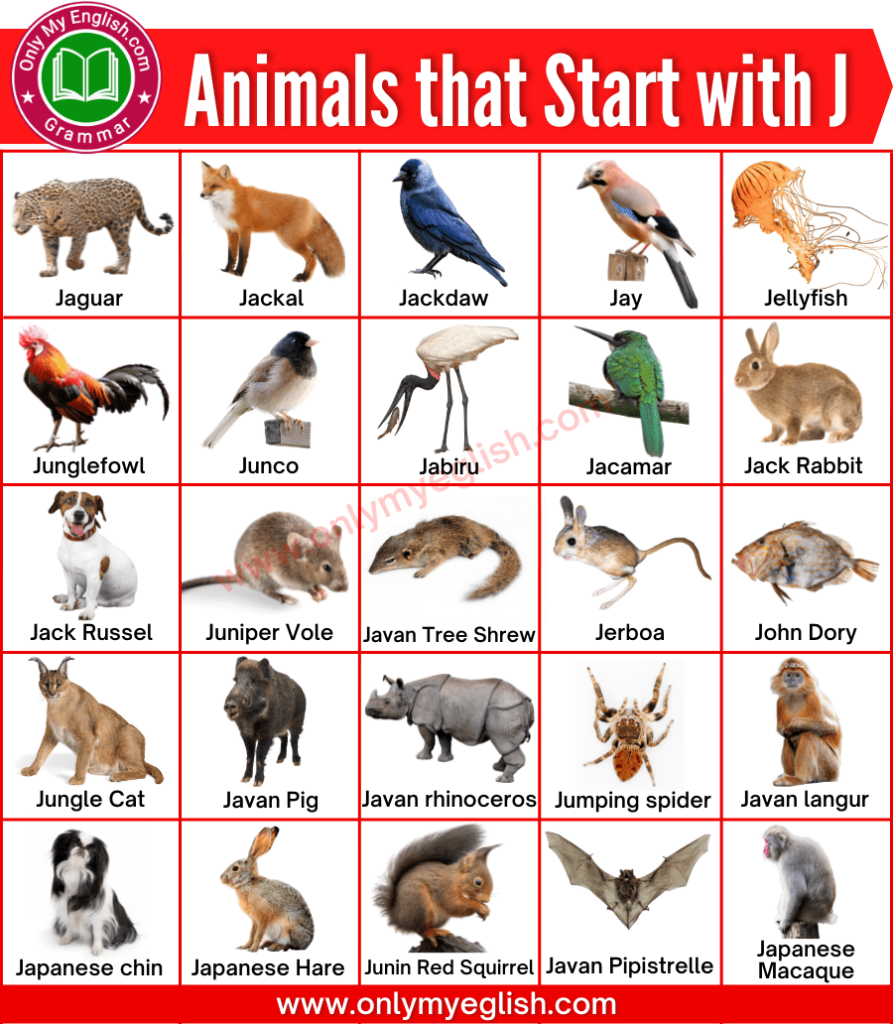 animals that start with j