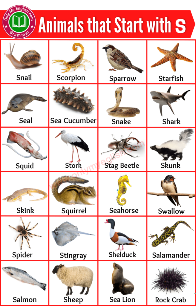 animals that start with s