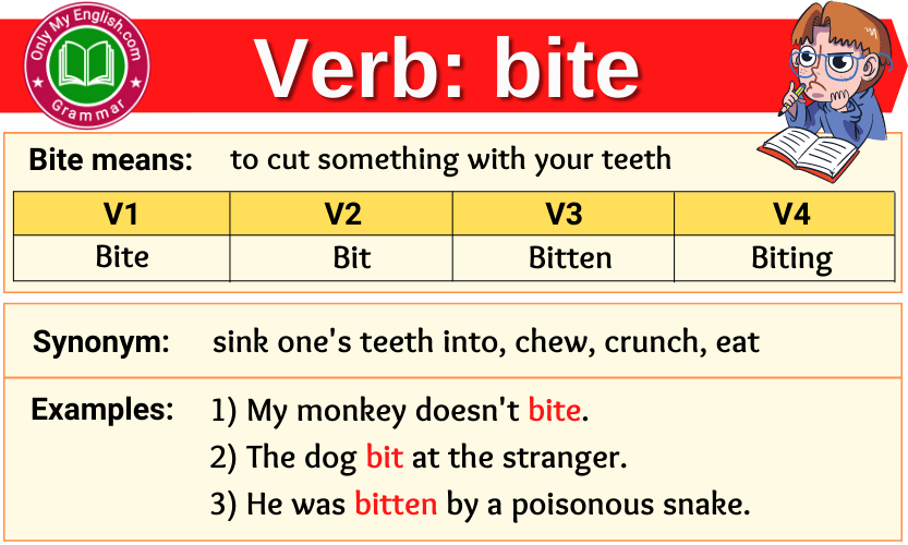 Bite Verb Forms Past Tense Past Participle V1V2V3 Onlymyenglish