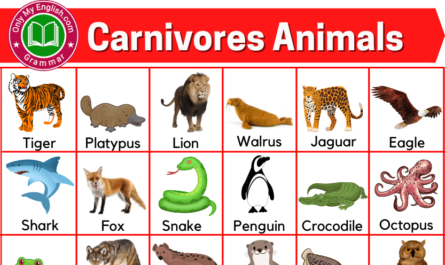 carnivores animals name