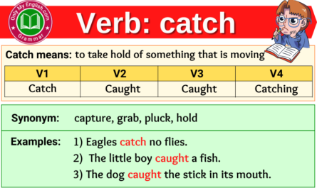 catch verb forms v1 v2 v3 past tense and past participle