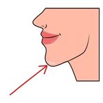 chin