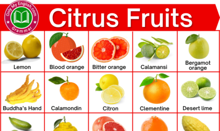 citrus fruits name
