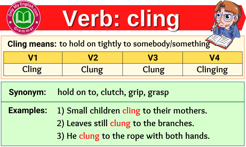 Conjugation Clinch 🔸 Verb in all tenses and forms