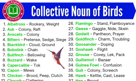 collective noun of birds