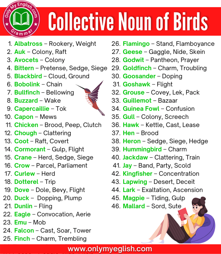 collective noun of birds