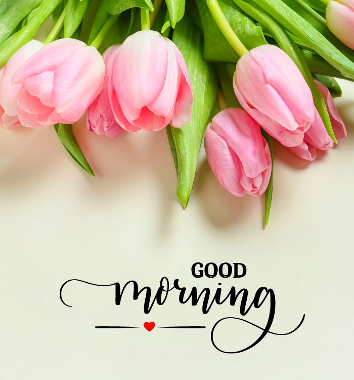 daily good morning images