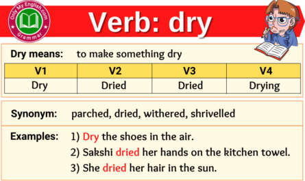 dry verb forms v1 v2 v3 past tense and past participle