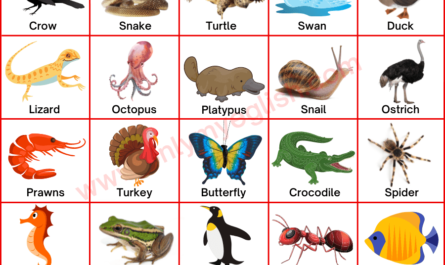egg laying animals oviparous animals name