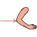 elbow