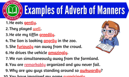 examples of adverb of manners in sentences