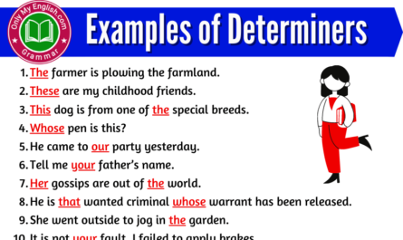 examples of determiners in sentences
