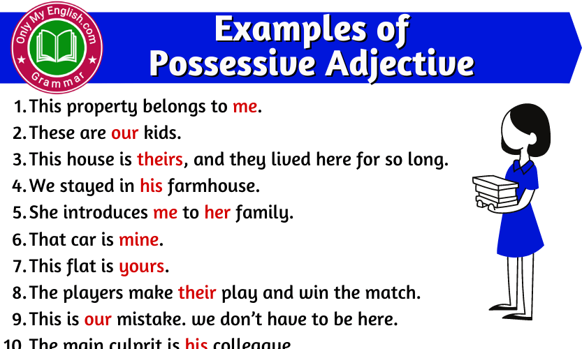 List Seven Possessive Pronouns