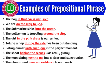 examples of prepositional phrase in sentences