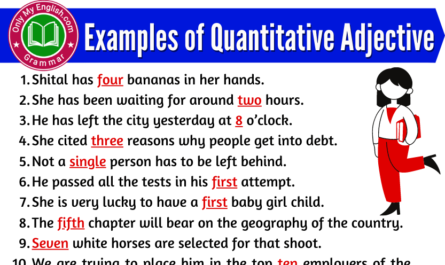 examples of quantitative adjective in sentences