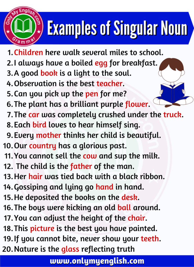 Examples of singular Noun are in Sentences » Onlymyenglish.com