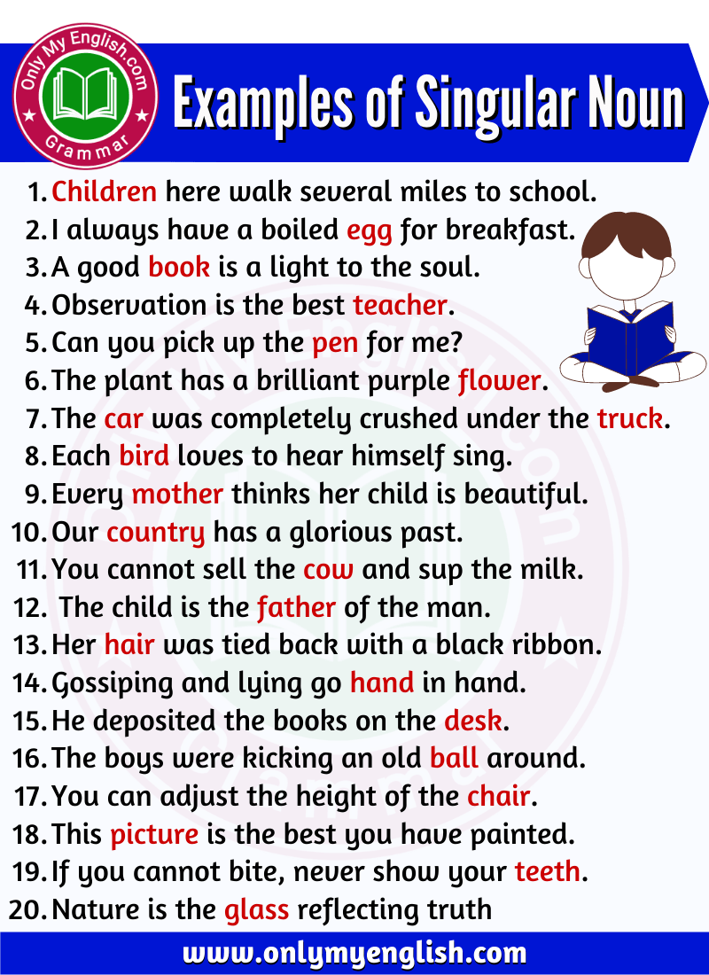 examples of singular noun are in sentences