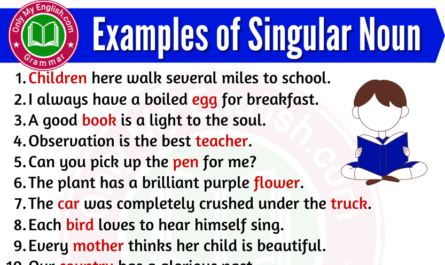 examples of singular noun in sentences