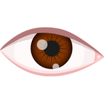 eye
