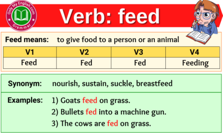 feed verb forms v1 v2 v3 past tense and past participle