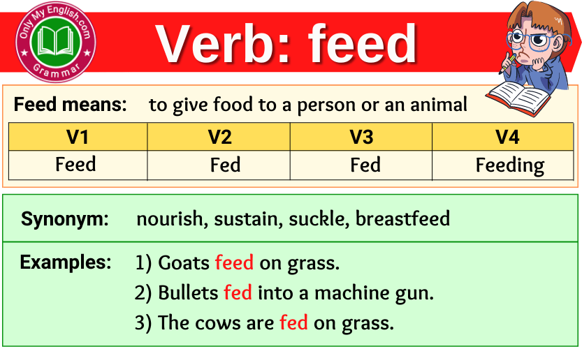 Feed Verb Forms Past Tense Past Participle V1V2V3 Onlymyenglish