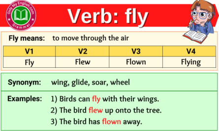 fly verb forms v1 v2 v3 past tense and past participle