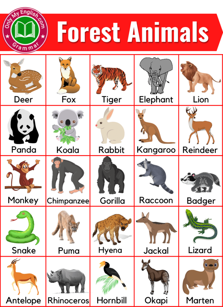 Forest Animals List Of Forest Animals Name With Images Onlymyenglish Forest Animals List Of Forest Animals Name With Images Onlymyenglish